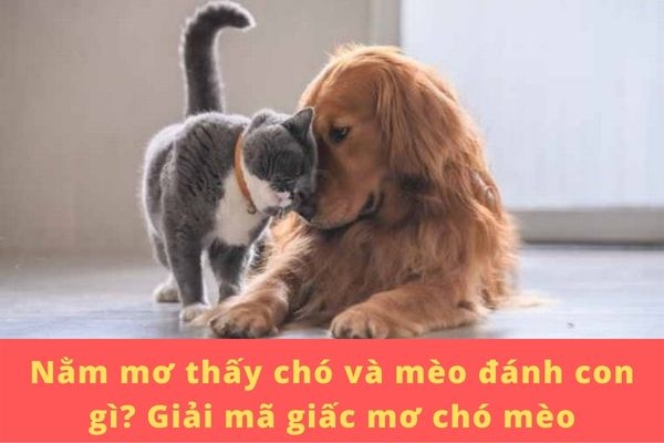 nằm mơ thấy chó và mèo đánh con gì